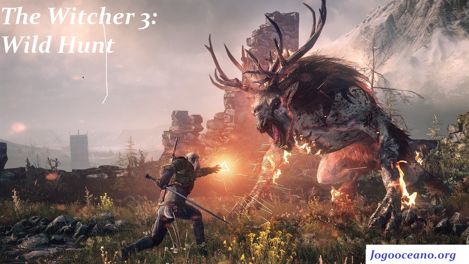 The Witcher 3 Wild Hunt Game